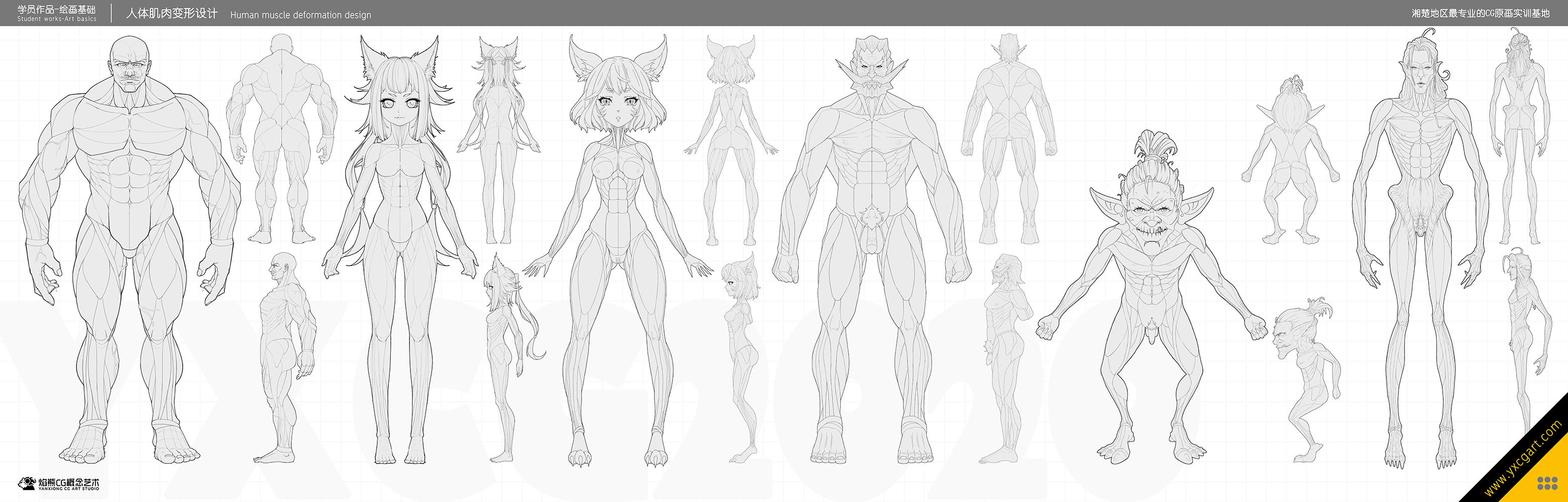 6-人体肌肉变形设计.jpg